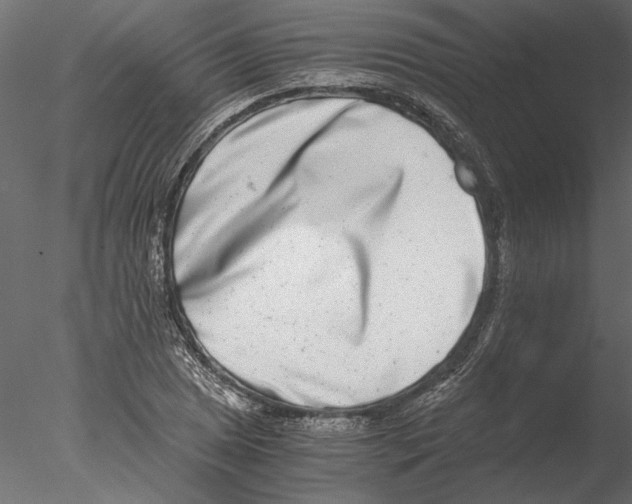 X0000076391025200611031650