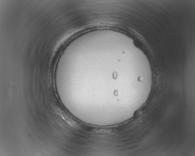 X0000076391027200611031650