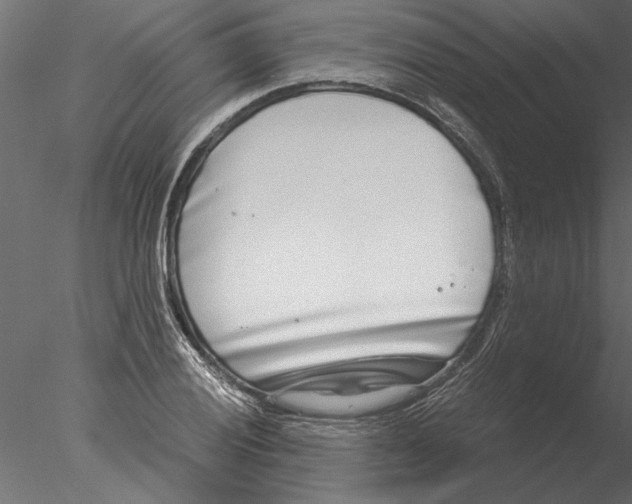 X0000076391028200611031650