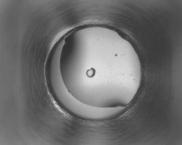 X0000076391030200611031650