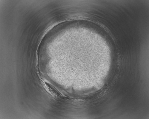 X0000076391031200611031650