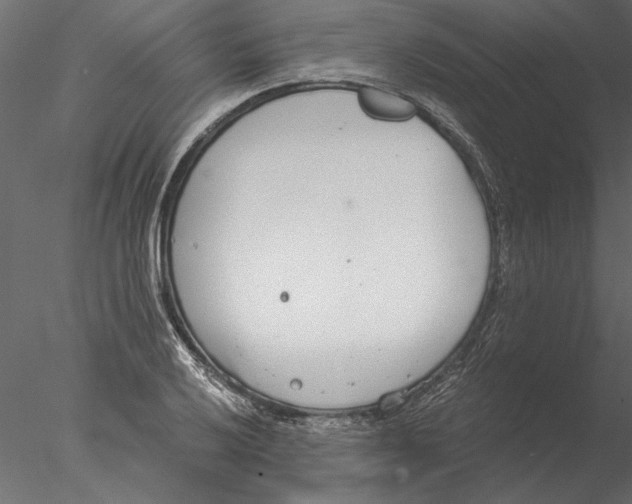 X0000076391032200611031650