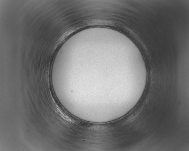 X0000076391033200611031650