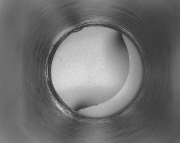 X0000076391034200611031650