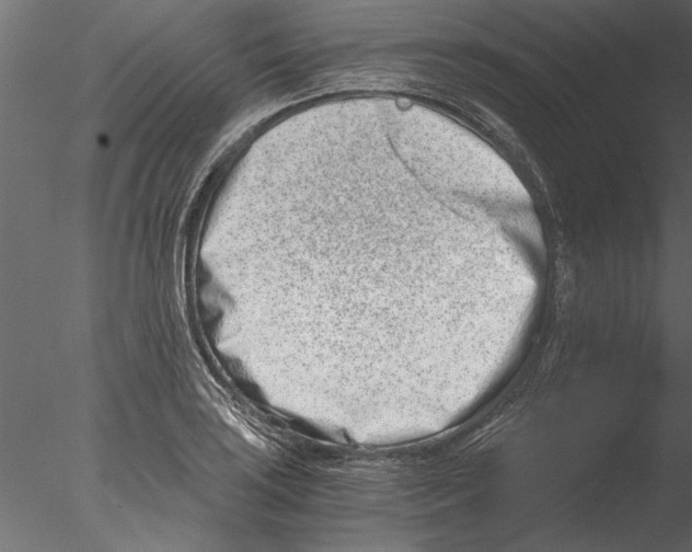 X0000076391035200611031650