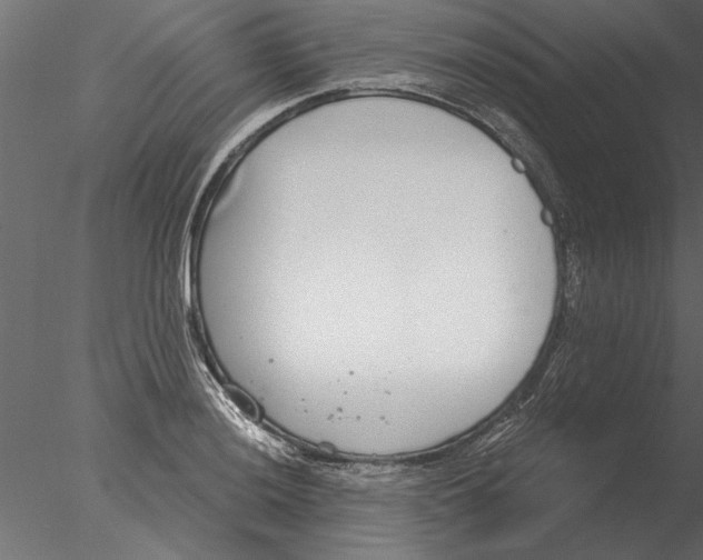 X0000076391036200611031650