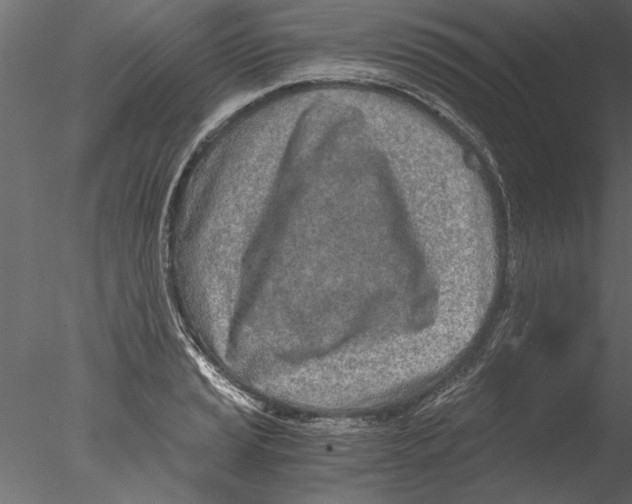 X0000076391037200611031650