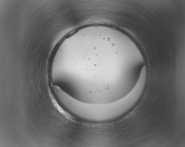 X0000076391038200611031650