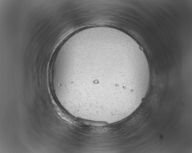 X0000076391039200611031650