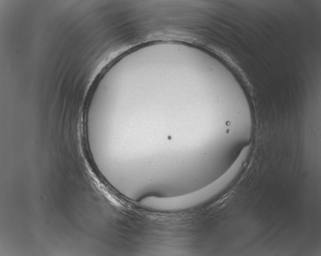 X0000076391040200611031650