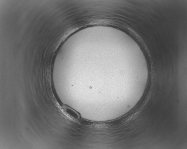 X0000076391041200611031650