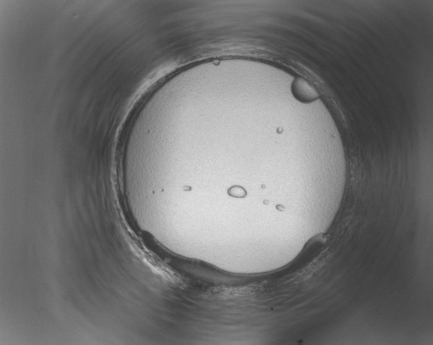 X0000076391043200611031650