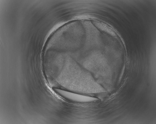 X0000076391045200611031650