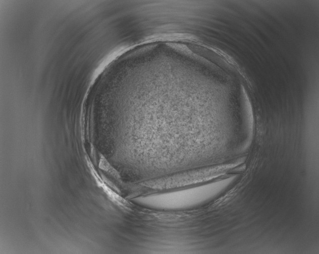 X0000076391046200611031650