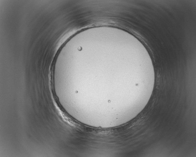 X0000076391047200611031650