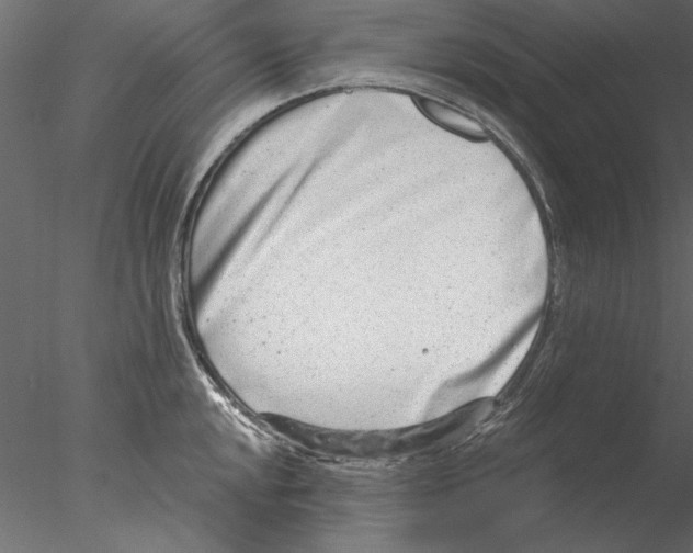 X0000076391048200611031650