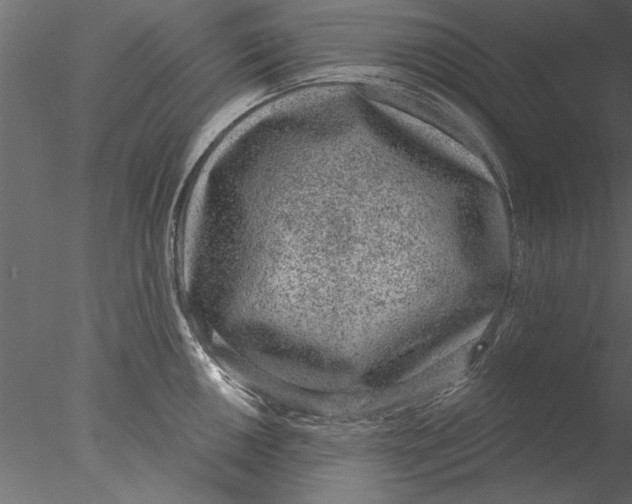 X0000076391050200611031650