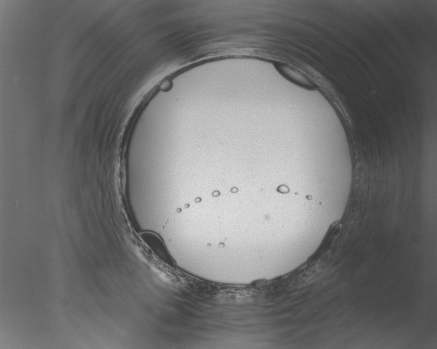 X0000076391051200611031650