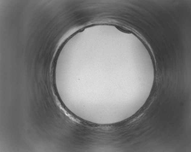 X0000076391053200611031650