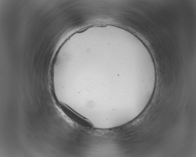 X0000076391056200611031650