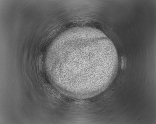 X0000076391059200611031649