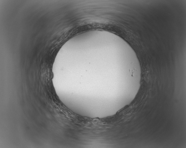 X0000076391061200611031649