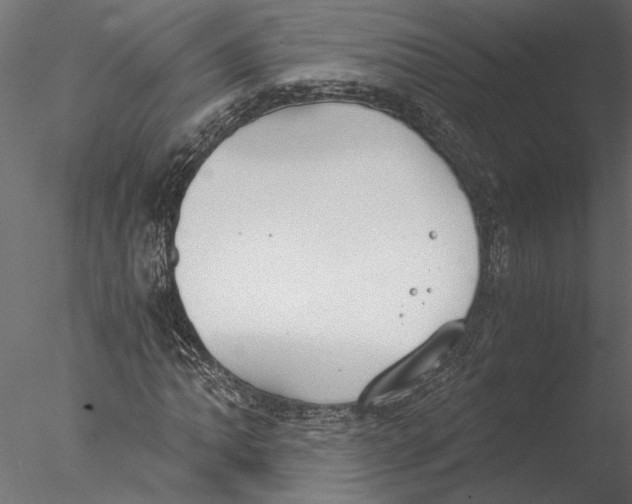 X0000076391062200611031649