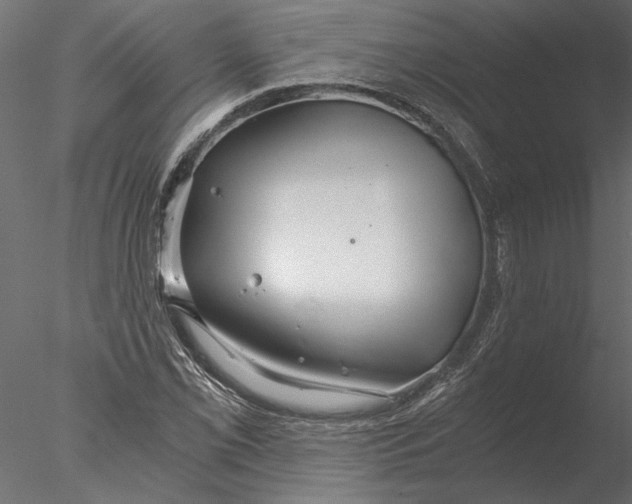 X0000076391069200611031649