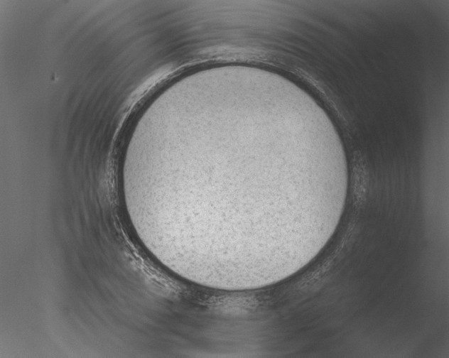 X0000076391074200611031649