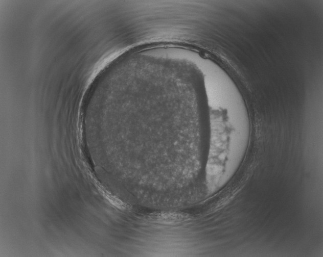 X0000076391077200611031649