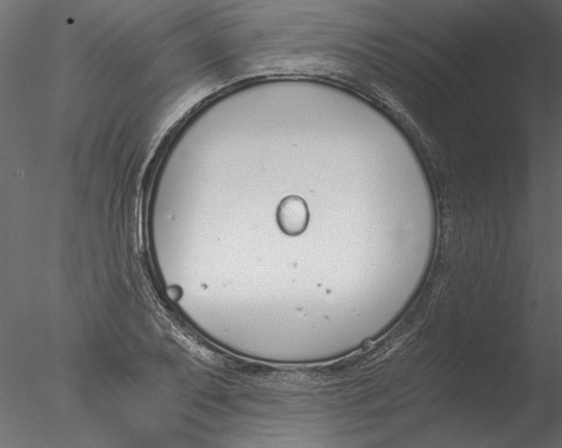 X0000076391079200611031649