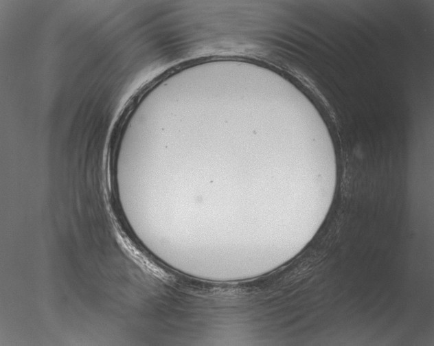 X0000076391080200611031649