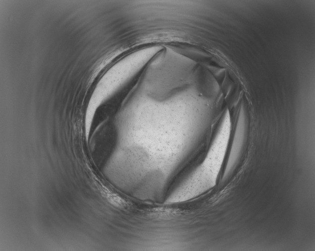 X0000076391081200611031649