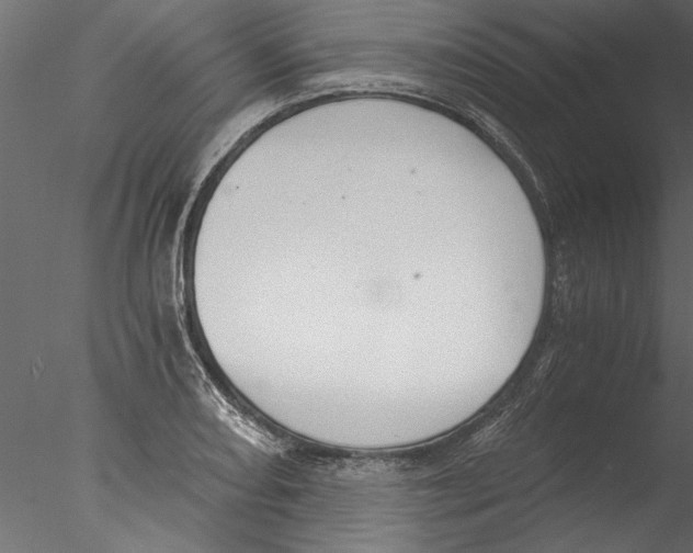 X0000076391082200611031649