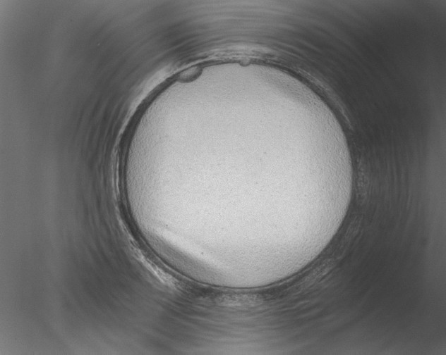 X0000076391083200611031649