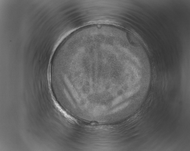 X0000076391084200611031649