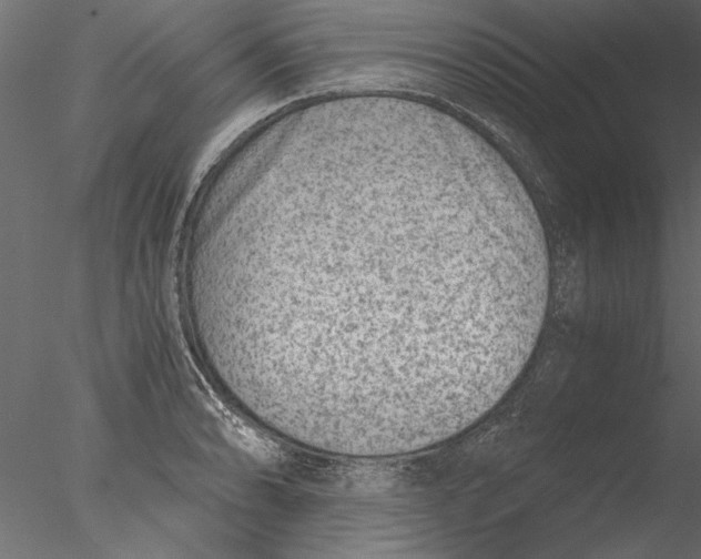 X0000076391086200611031649