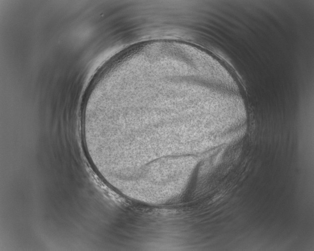 X0000076391088200611031649