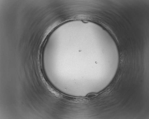 X0000076391091200611031649