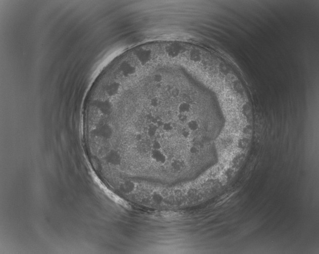 X0000076391095200611031649