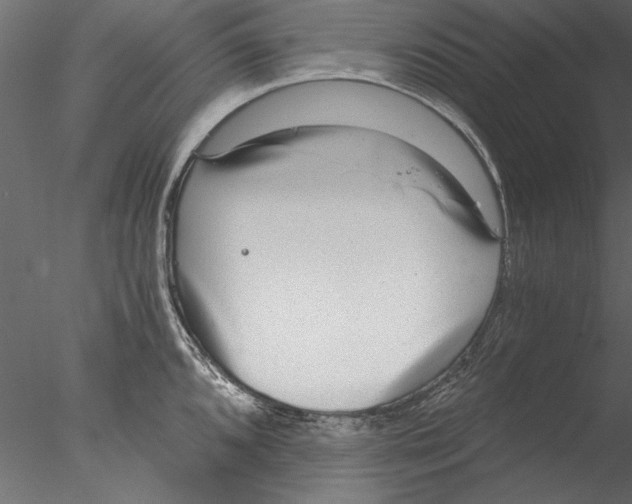 X0000076391096200611031649