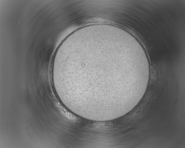 X0000076391098200611031649