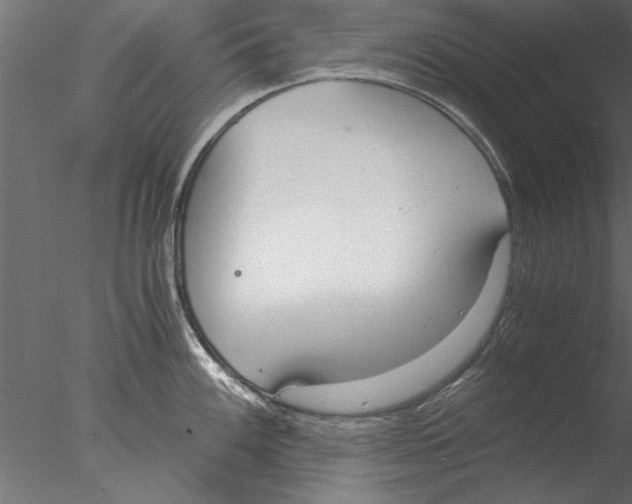 X0000076391100200611031649