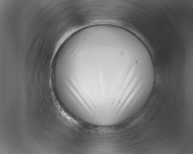 X0000076391102200611031649