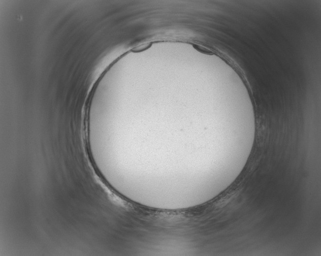 X0000076391103200611031649