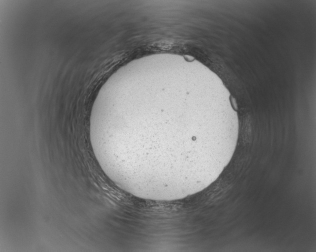 X0000076391105200611031648