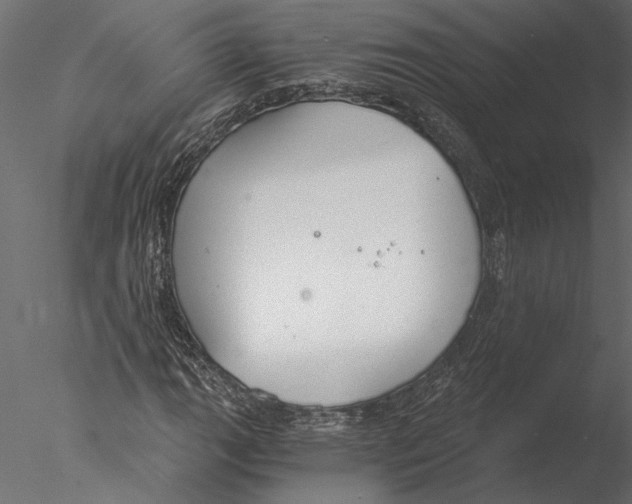 X0000076391111200611031648