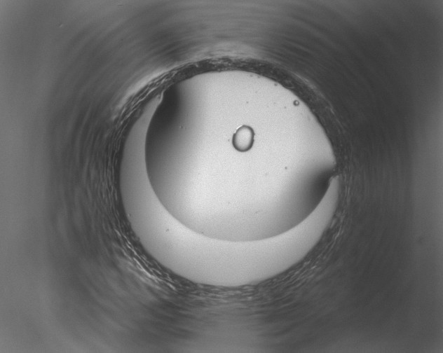 X0000076391112200611031648