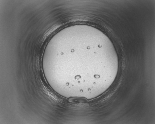 X0000076391113200611031648