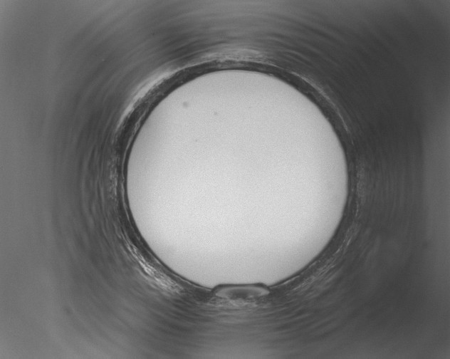 X0000076391115200611031648